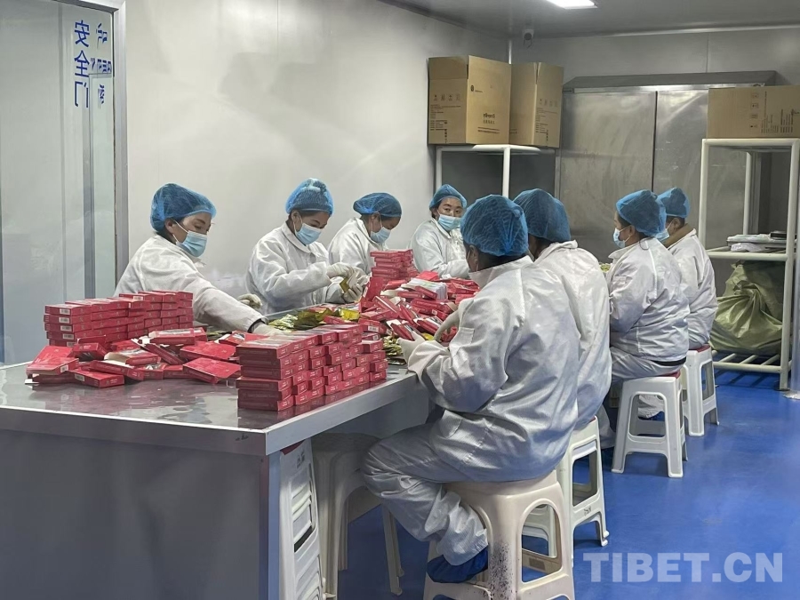 荷蘭從中國買60萬只口罩有質(zhì)量問題？回應(yīng)來了