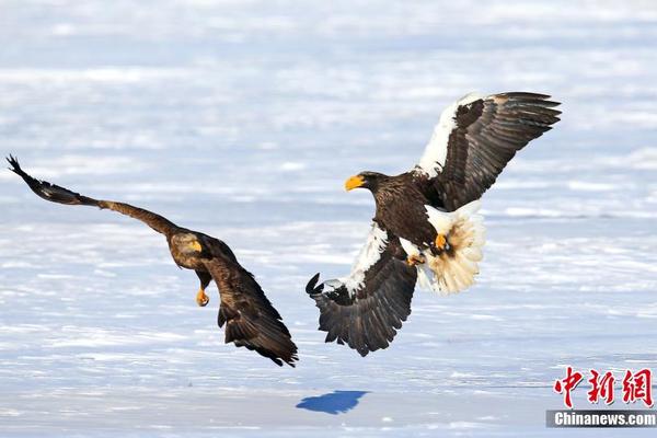 廣東致一家6口死亡火災(zāi)原因公布:神龕留火種引火災(zāi)