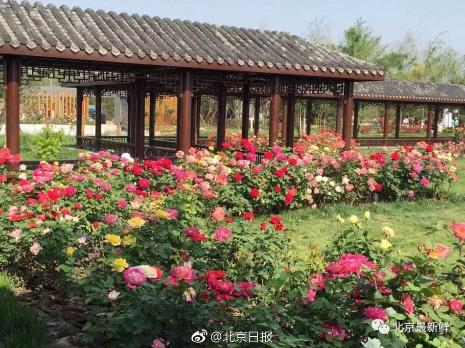 TVB最年輕視后，從劉鑾雄到吳奇隆，感情一路不順，遇見張晉才幸福
