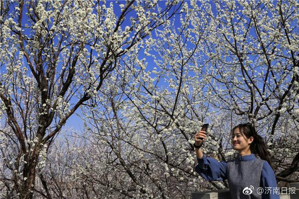 大樂透怪號仍造6注873萬1注追加 銷量2.2億