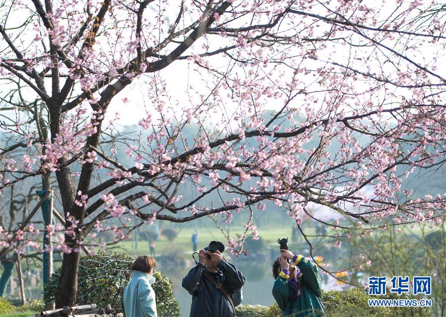 華為2019年收入8588億元 凈利潤627億元