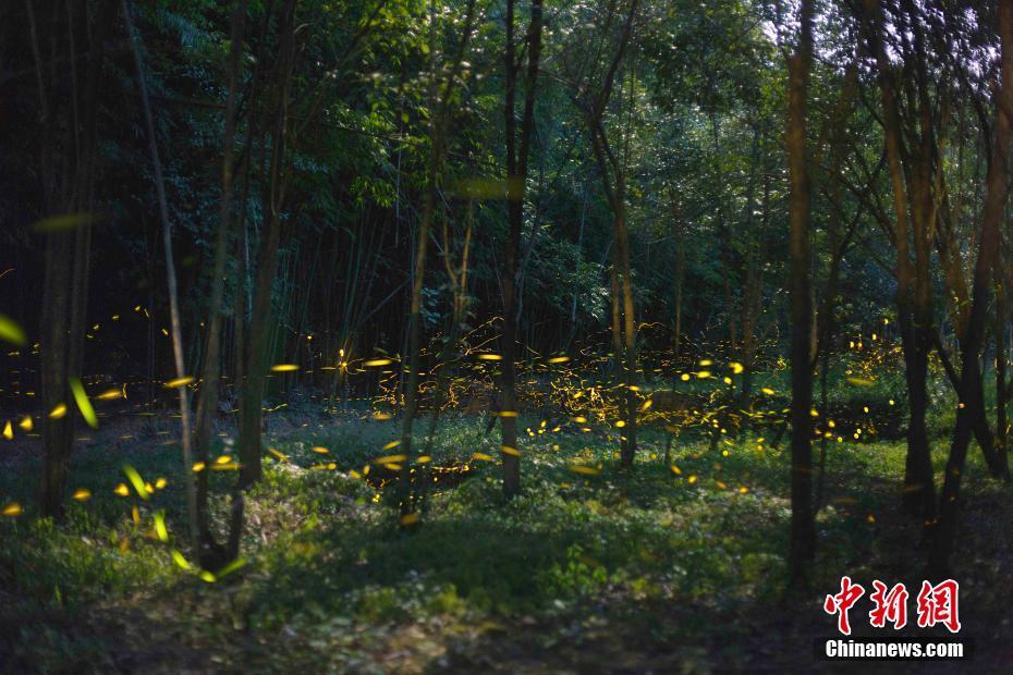“重量級”人物爆料：病毒并非來自中方！蓬佩奧當場發(fā)火