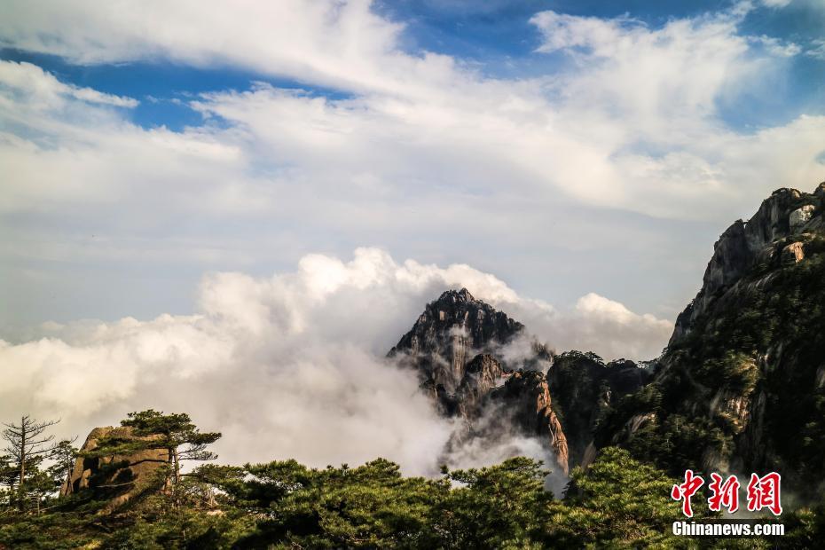 100歐元有機(jī)會(huì)獲得一件畢加索 真的還是假的