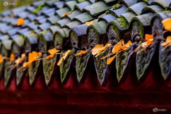 "疫"外引燃云服務(wù)，亞馬遜、微軟、谷歌誰能收割更多市場紅利？