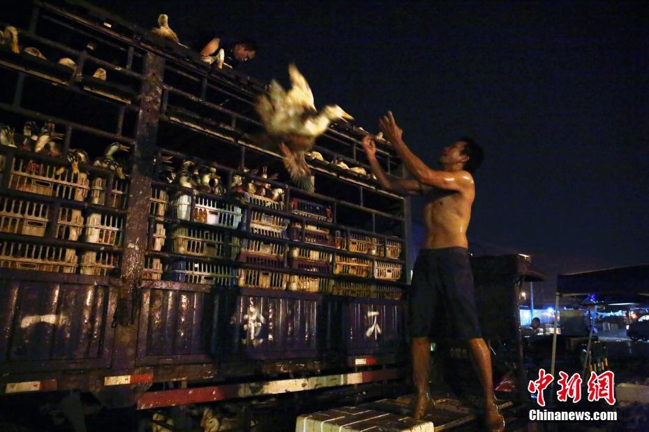 最適合新手的PS神級教程