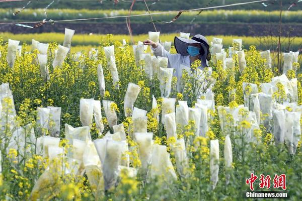 組圖：迪麗熱巴帽子口罩包裹嚴實 忙錄“極挑”行程超滿