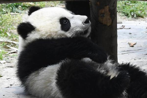女性什么時候絕經(jīng)，才說明身體健康？超過這個年齡，太遲會有麻煩