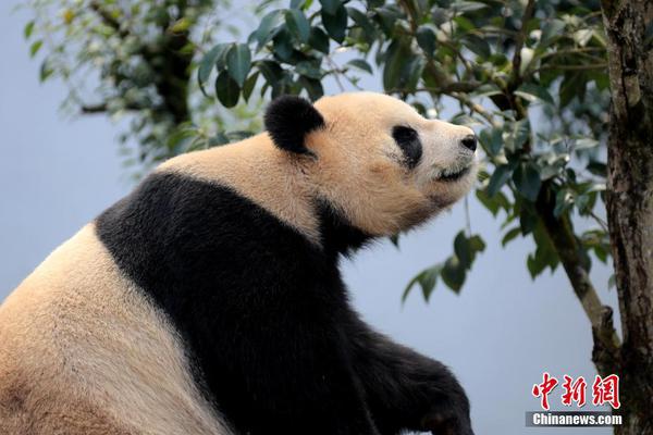 怎判斷孕婦水腫是正常or生病